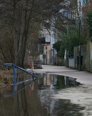 Fototapeta premium Hochwasserspiegelungen