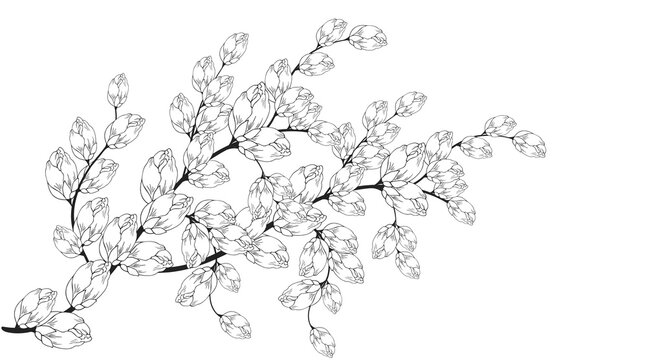 Gentle floral background from flower branches and buds, flower arrangement. Hand drawing. For stylized decor, invitations, cards, posters, flyers, backgrounds, as clipart