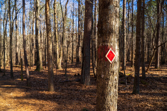 A red hiking trail sign or note is is to keep hikers on the right path. In the US, trails are typically marked in a single color from start to finish. Each trail system can be colored differently, 