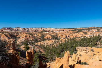 Conifers forest of pine trees with panoramic view on sandstone rock formations on Navajo Rim hiking trail in Bryce Canyon National Park, Utah, USA. Hoodoo rocks in unique natural amphitheatre