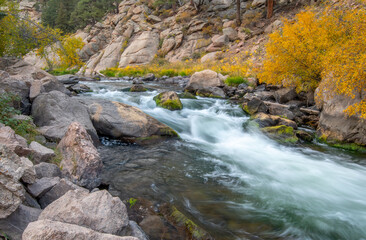 Fototapeta na wymiar Beautiful Creek Cutting a Gorge in the 11 Mile Canyon of Colorado