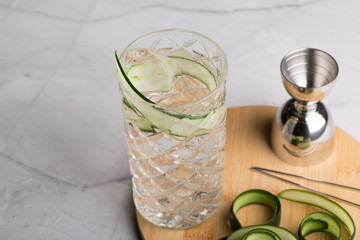 Fresh homemade Gin & Tonic cocktail