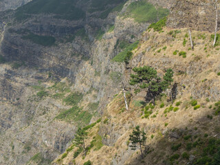 Funchal und die Insel Madeira
