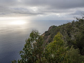 Die Insel Madeira