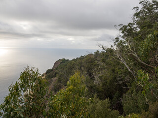 Fototapeta na wymiar Funchal und die Insel Madeira