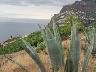 Die Insel Madeira