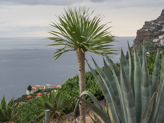 Die Insel Madeira