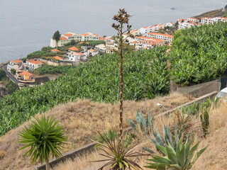 Die Insel Madeira