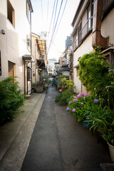 Fototapeta na wymiar Narrow streets of Tokyo downtown (Shitamachi) with small shops and homes