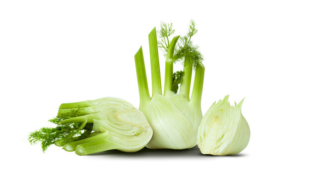 Fresh fennel bulb isolated on a transparent background