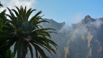 Fototapeta na wymiar Mountains and palm trees on Masca, in Tenerife in Spain