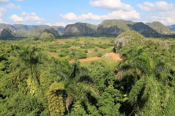 Panorama of Valle de Viñales in Cuba, Caribbean