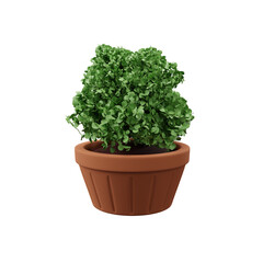 3d illustration of houseplant potted isolated