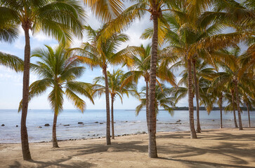 Fototapeta na wymiar Photo of a Caribbean tropical beach, summer vacation concept.