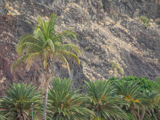 Die Insel Teneriffa in Spanien
