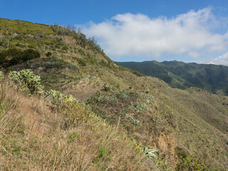 Die Insel Teneriffa in Spanien