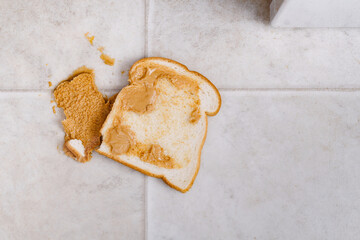 Dropped peanut butter sandwich on kitchen floor