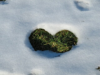 Herzliches im Winter