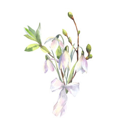 Watercolor spring flowers bouquet of snowdrops,branches with buds and leaves with bow. Wild flower set isolated on white. Botanical watercolor illustration, snowdrops bouquet, rustic flowers