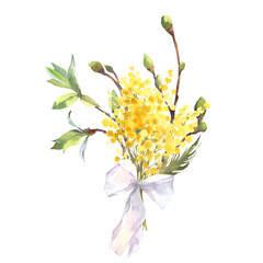 Mimosa yellow spring flowers and tree brunch bouquet with bow, Watercolor hand drawn illustration isolated on white background