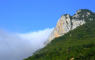 Fototapeta na wymiar morning fog on the mountain