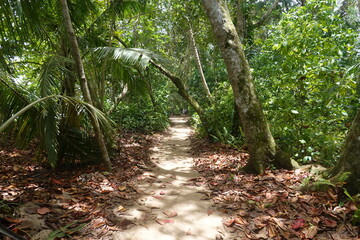 Costa Rica - Cahuita National Park
