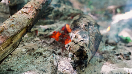 smoking log from the fire. smoke rising from logs wood branches