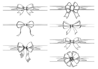 Set of long  bow and ribbon. Hand drawn vintage line art. Ink sketched vector illustration.