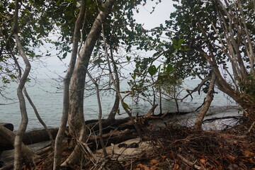 Costa Rica - Cahuita National Park
