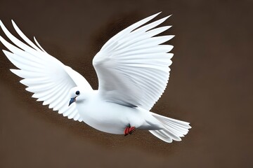 Obraz premium white dove isolated on white background. Generative AI