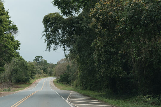 road in the forest