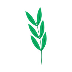 branch with green leafs