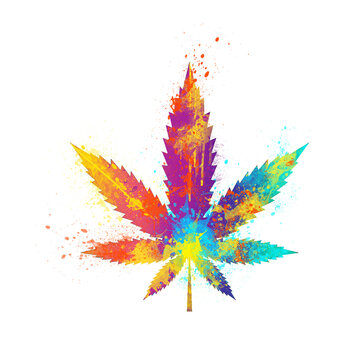 recommend clip art: Watercolor Abstract weed leaf, Colorful cannabis Illustration, marijuana leaf Drawing, pot, ganja, Cannabis, colorful weed, marijuana