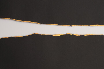 Torn black and white empty pieces of texture paper with gold line copy space background.