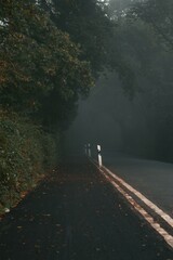 Dark road through the foggy forest 
