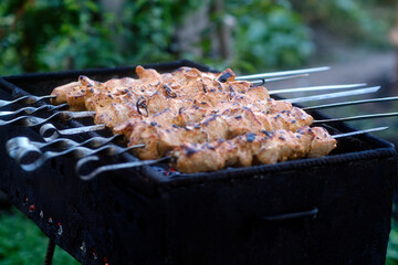 Delicious meat skewers on brazier during picnic