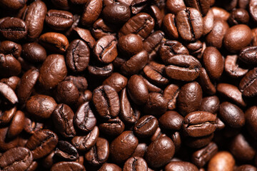 coffee beans close up