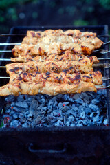 Delicious meat skewers on brazier during picnic