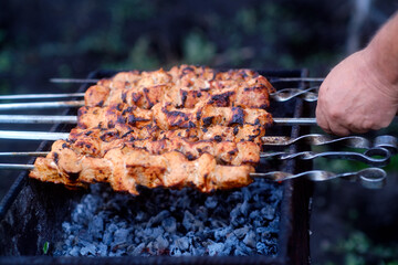 Crop person frying shashlik on brazier. From above anonymous person turning delicious meat skewers on brazier during picnic in summer