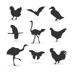 animal silhouette illustration collection, chicken, bat, duck, ostrich, cockatoo, butterfly, vector illustration