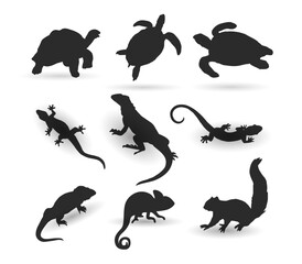 animal silhouette illustration collection. turtle, lizard, Komodo, iguana and squirrel, vector illustration