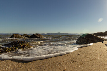 The Dance of the Wave: Foam and Sand in Harmony
