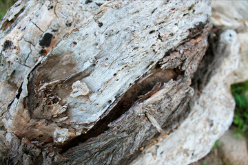 Texture of old