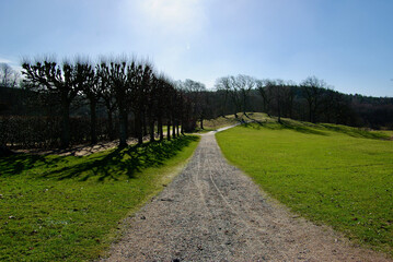 Fototapeta na wymiar Gravel road for walking over a greening field in a park landscape in early spring. 