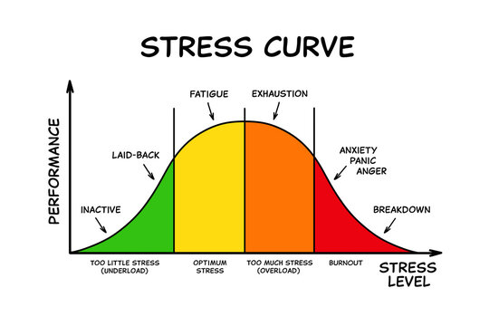 Stress Curve Graph With Different Stages