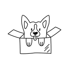 Little corgi dog in a cardboard box. Linear doodle illustration of a pet. Cute design element for animal shelters.