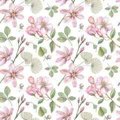 Watercolor seamless daisy floral pattern with gentle spring branches. Blooming pink flowers on white background in vintage style.
