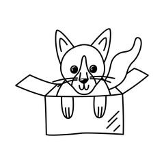 Little Siamese cat in a cardboard box. Linear doodle illustration of a pet. Cute design element for animal shelters.