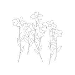 Fototapeta na wymiar Floral decor. periwinkle flower from line. Vinca minor. Wild blue flowers on white background. flower vector illustration. Fritillaria. Medical plants.