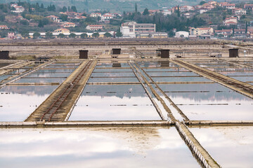 Winter panoramic view of marine pools in Secovlje salt pan, Slovenia 